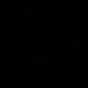 Meet your Posher, Isabella